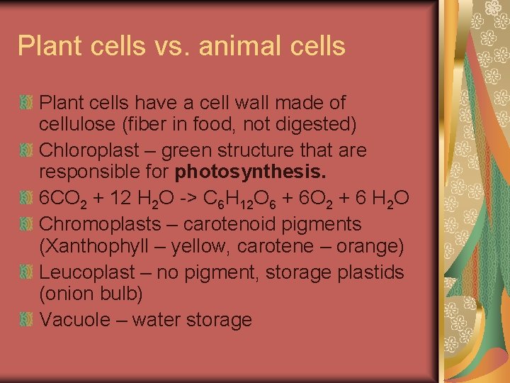 Plant cells vs. animal cells Plant cells have a cell wall made of cellulose