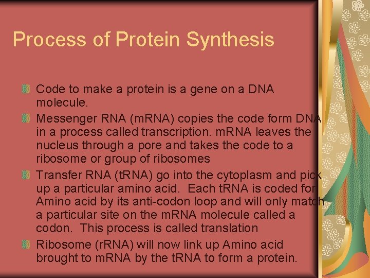 Process of Protein Synthesis Code to make a protein is a gene on a