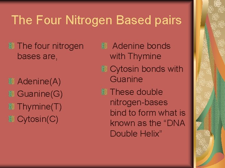 The Four Nitrogen Based pairs The four nitrogen bases are, Adenine(A) Guanine(G) Thymine(T) Cytosin(C)
