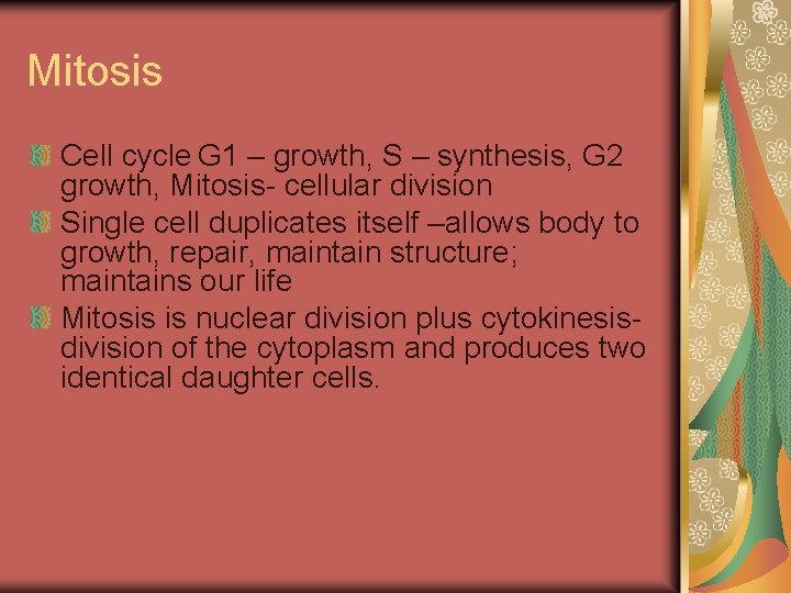 Mitosis Cell cycle G 1 – growth, S – synthesis, G 2 growth, Mitosis-