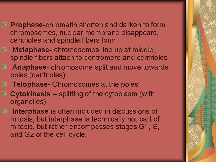 Prophase-chromatin shorten and darken to form chromosomes, nuclear membrane disappears, centrioles and spindle fibers