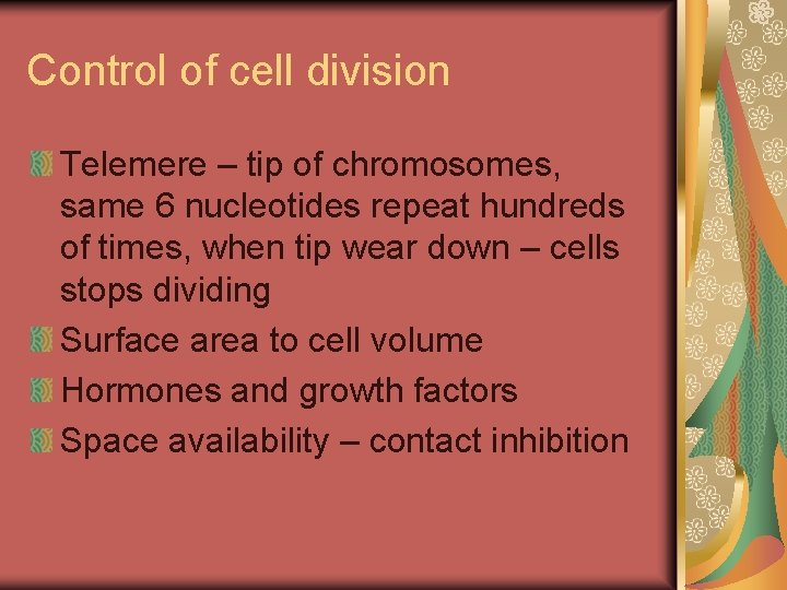 Control of cell division Telemere – tip of chromosomes, same 6 nucleotides repeat hundreds