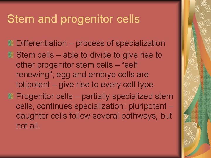 Stem and progenitor cells Differentiation – process of specialization Stem cells – able to