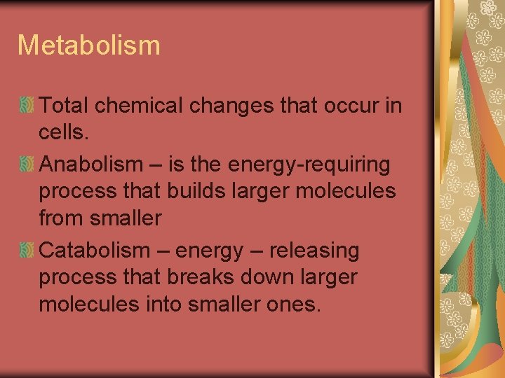Metabolism Total chemical changes that occur in cells. Anabolism – is the energy-requiring process