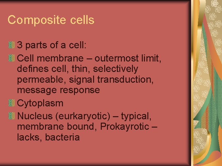Composite cells 3 parts of a cell: Cell membrane – outermost limit, defines cell,