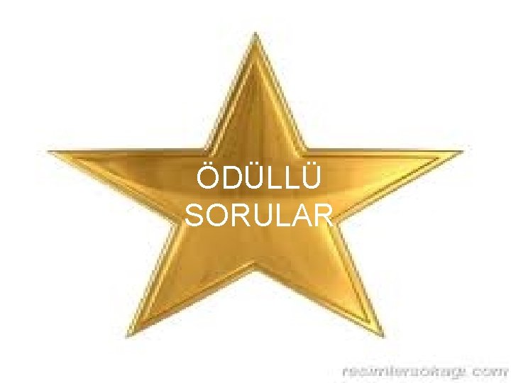 ÖDÜLLÜ SORULAR 