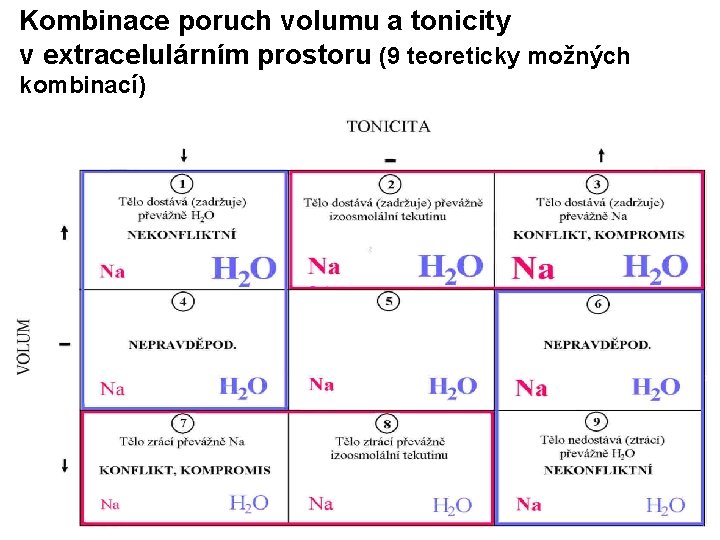 Kombinace poruch volumu a tonicity v extracelulárním prostoru (9 teoreticky možných kombinací) 6 