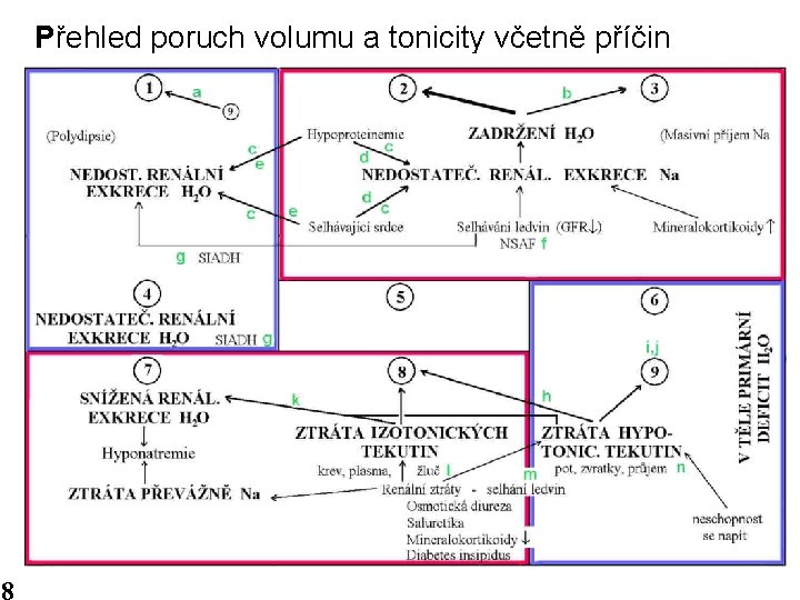 Přehled poruch volumu a tonicity včetně příčin 