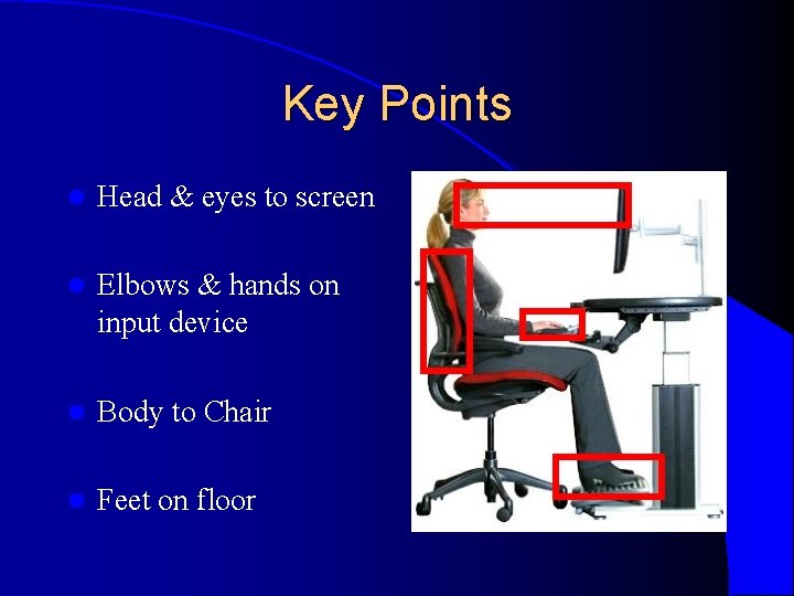 Key Points l Head & eyes to screen l Elbows & hands on input Key Points l Head & eyes to screen l Elbows & hands on input