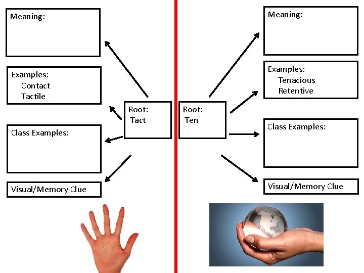 Meaning: Examples: Tenacious Retentive Examples: Contact Tactile Root: Tact Class Examples: Visual/Memory Clue Root: