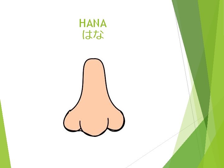 HANA はな 