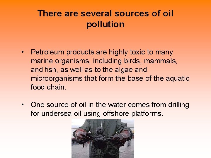There are several sources of oil pollution • Petroleum products are highly toxic to