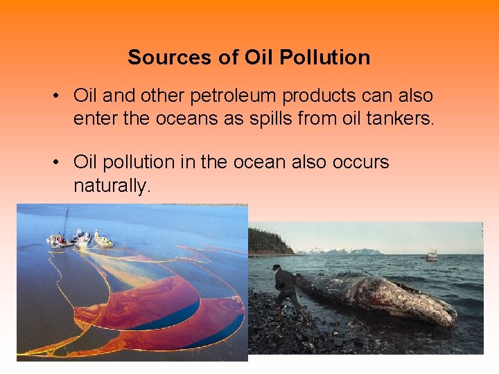 Sources of Oil Pollution • Oil and other petroleum products can also enter the