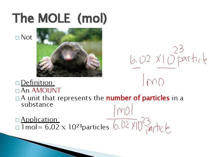 The MOLE (mol) � Not � Definition: � An AMOUNT � A unit that
