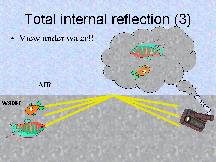 Total internal reflection (3) • View under water!! AIR water 