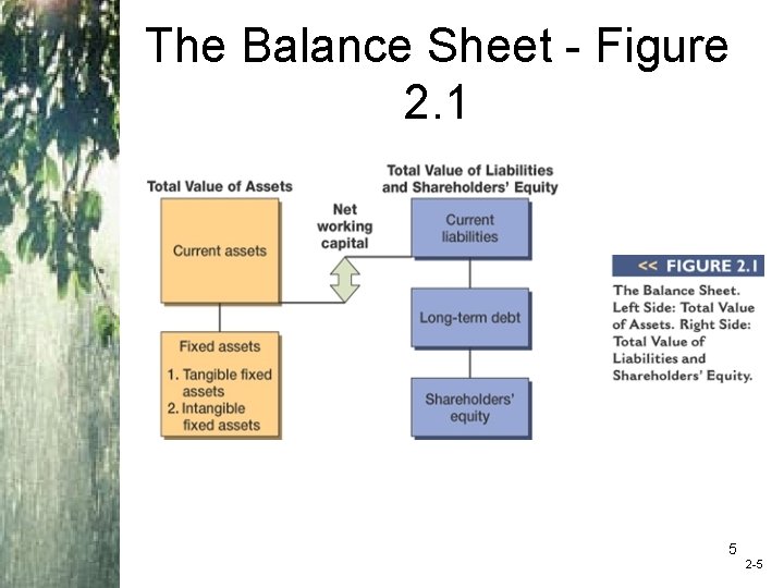The Balance Sheet - Figure 2. 1 5 2 -5 