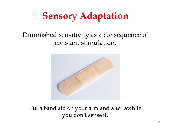 Sensory Adaptation Diminished sensitivity as a consequence of constant stimulation. Put a band aid