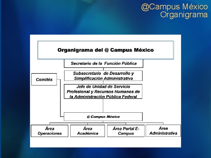 @Campus México Organigrama 