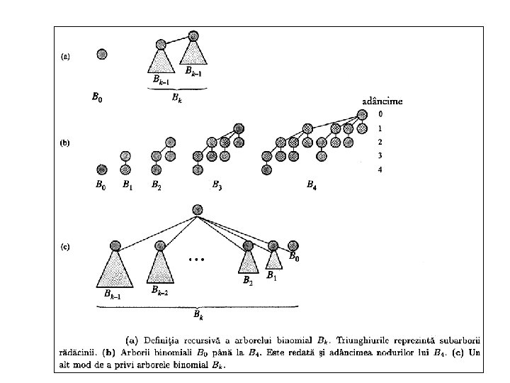 Arbori binomiali. 