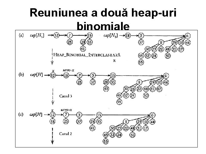 Reuniunea a două heap-uri binomiale 