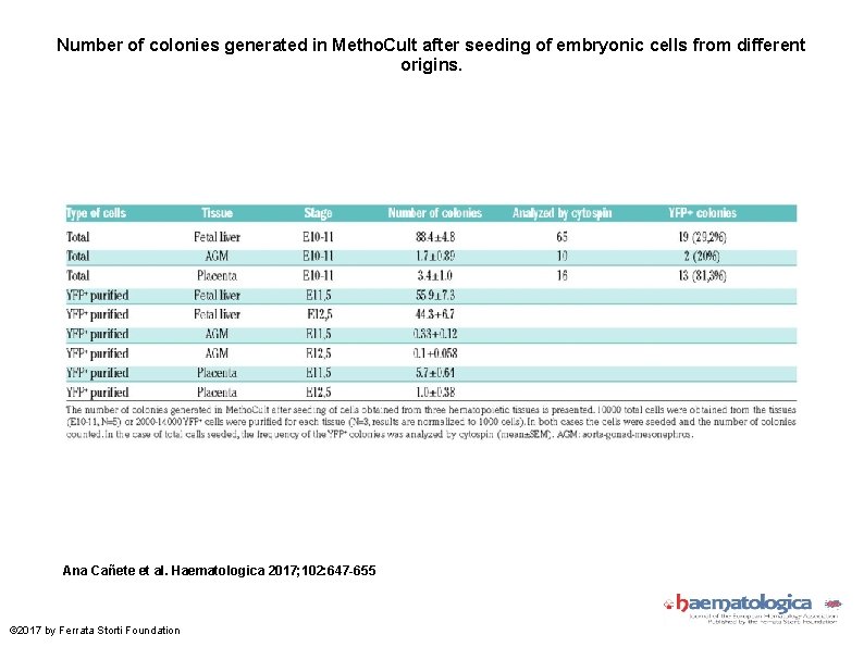 Number of colonies generated in Metho. Cult after seeding of embryonic cells from different