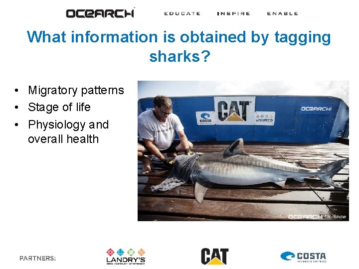 What information is obtained by tagging sharks? • Migratory patterns • Stage of life