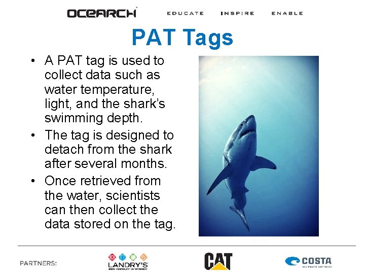 PAT Tags • A PAT tag is used to collect data such as water