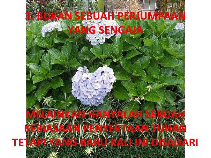 3. BUKAN SEBUAH PERJUMPAAN YANG SENGAJA MELAINKAN HANYALAH SEBUAH KEBIASAAN PENYERTAAN TUHAN TETAPI YANG