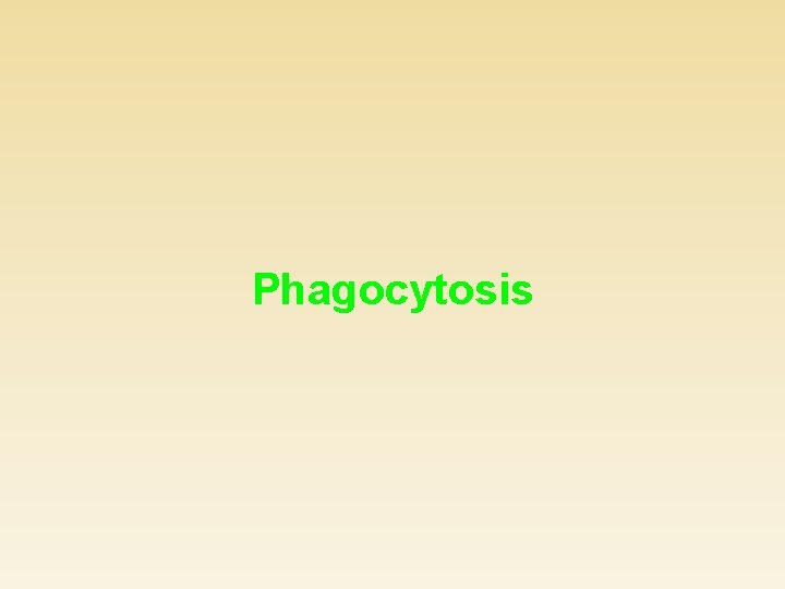 Phagocytosis 