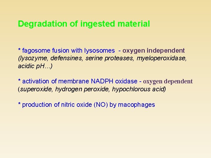 Degradation of ingested material * fagosome fusion with lysosomes - oxygen independent (lysozyme, defensines,
