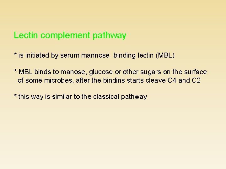 Lectin complement pathway * is initiated by serum mannose binding lectin (MBL) * MBL