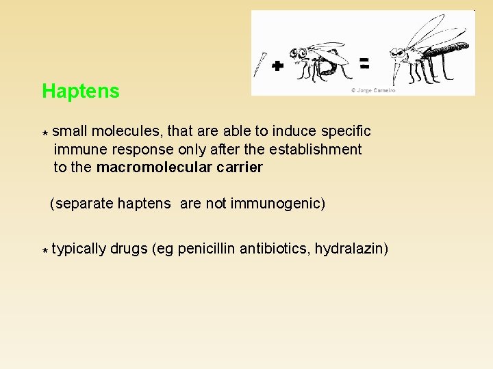 Haptens * small molecules, that are able to induce specific immune response only after