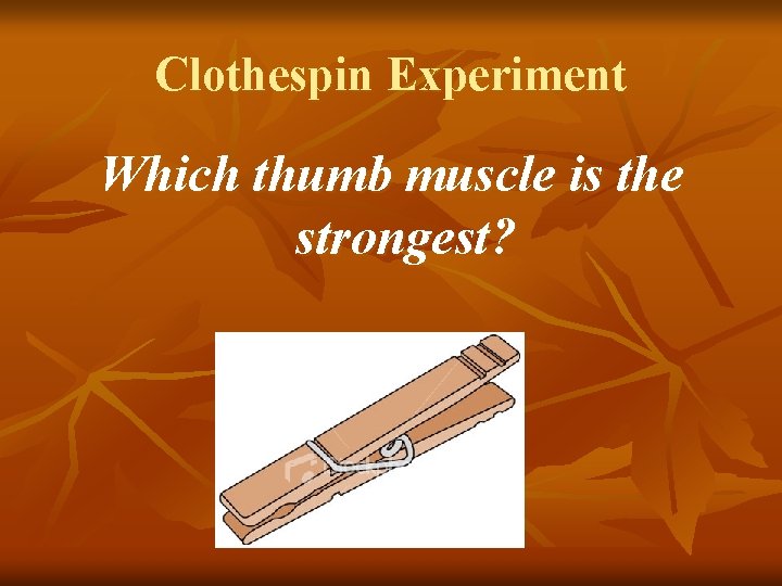 Clothespin Experiment Which thumb muscle is the strongest? 