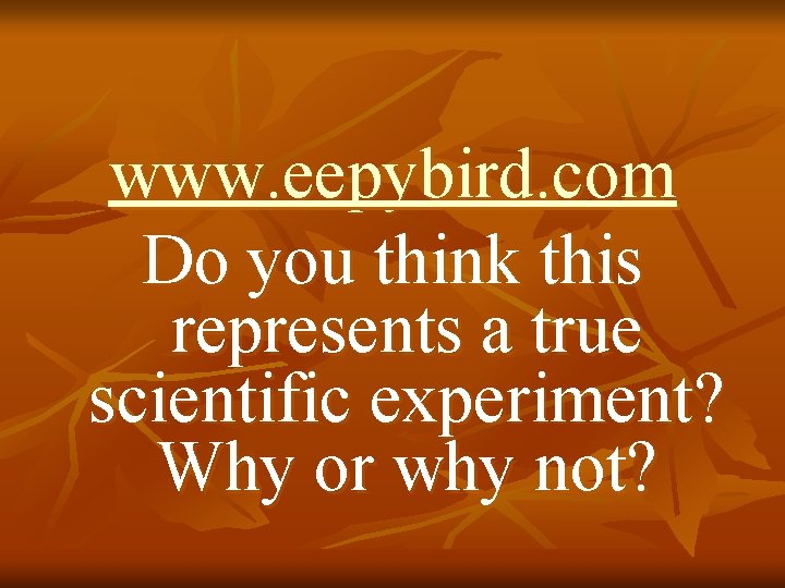 www. eepybird. com Do you think this represents a true scientific experiment? Why or