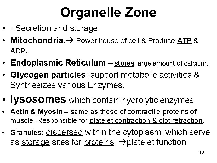 Organelle Zone • - Secretion and storage. • Mitochondria. Power house of cell &