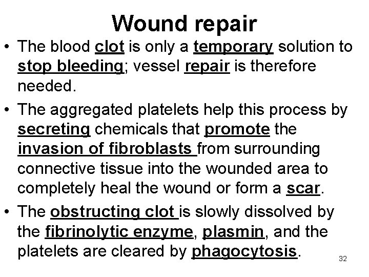 Wound repair • The blood clot is only a temporary solution to stop bleeding;