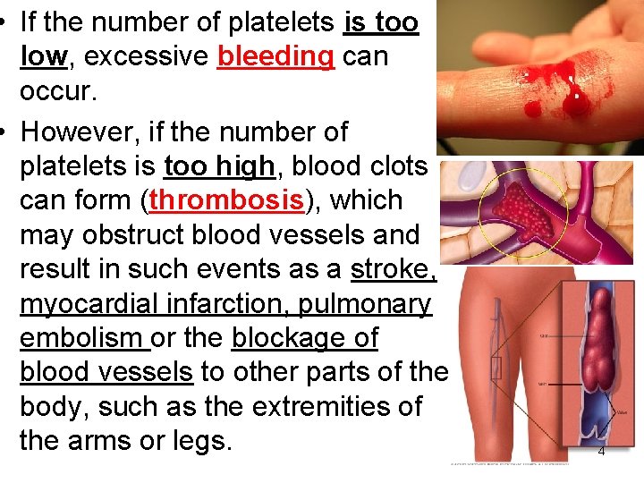  • If the number of platelets is too low, excessive bleeding can occur.