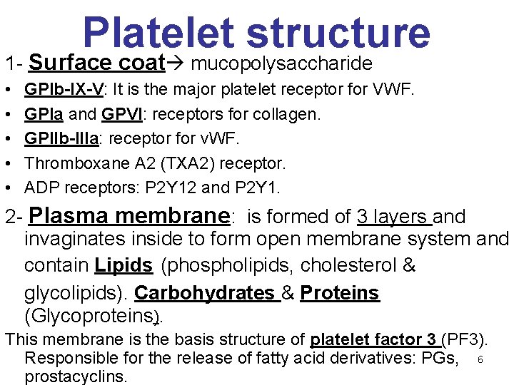 Platelet structure 1 - Surface coat mucopolysaccharide • • • GPIb-IX-V: It is the