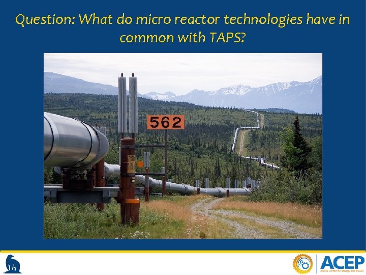 Question: What do micro reactor technologies have in common with TAPS? 