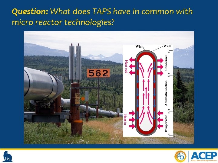Question: What does TAPS have in common with micro reactor technologies? 
