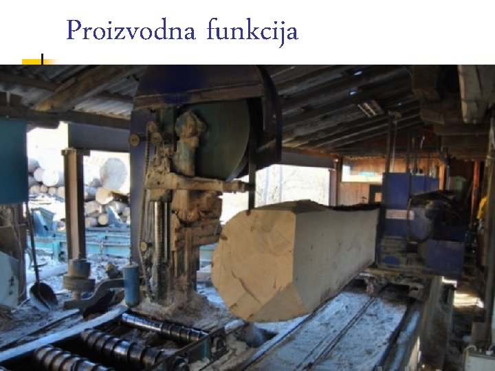 Proizvodna funkcija 