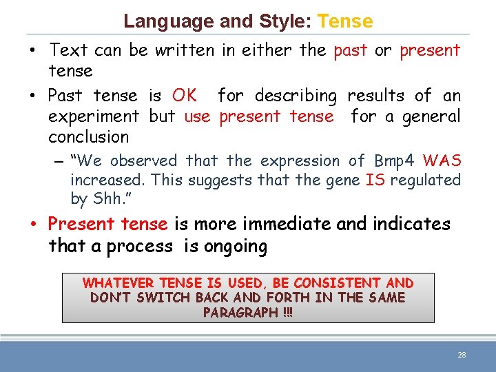 Language and Style: Tense • Text can be written in either the past or