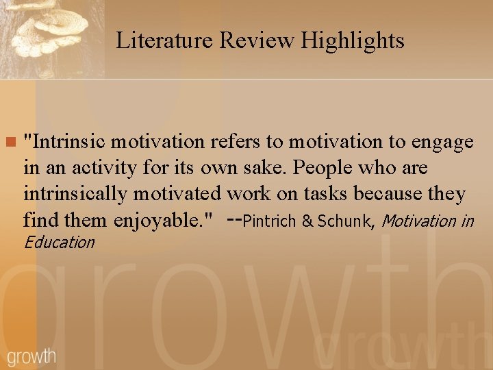 Literature Review Highlights n "Intrinsic motivation refers to motivation to engage in an activity