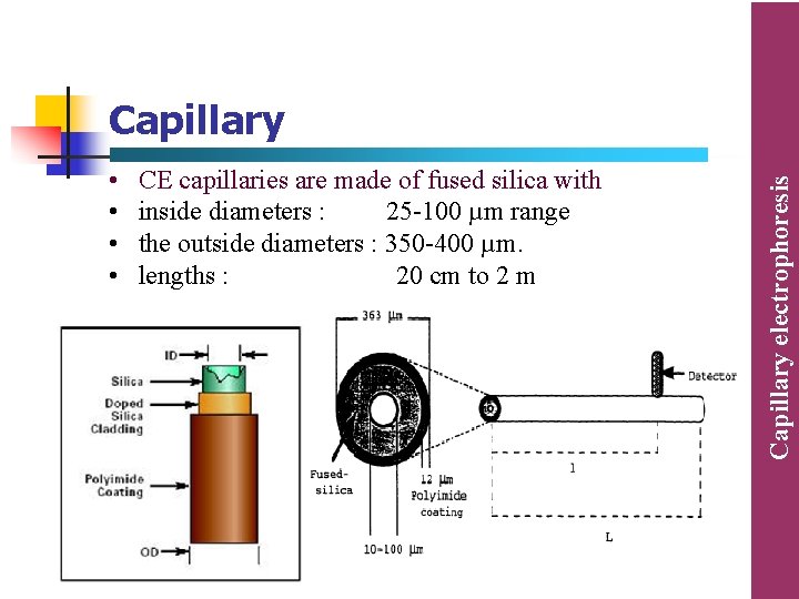 • • CE capillaries are made of fused silica with inside diameters : • • CE capillaries are made of fused silica with inside diameters :