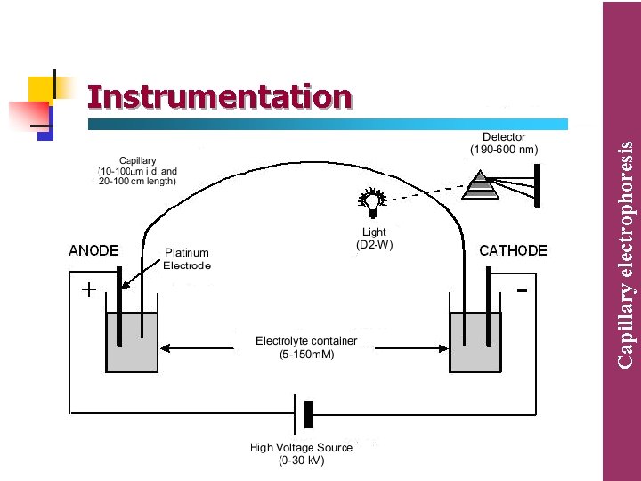 Capillary electrophoresis Instrumentation Capillary electrophoresis Instrumentation