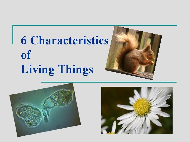 6 Characteristics of Living Things 