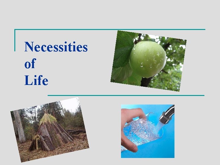 Necessities of Life 