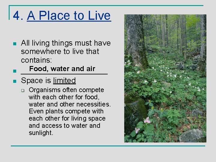 4. A Place to Live n n n All living things must have somewhere