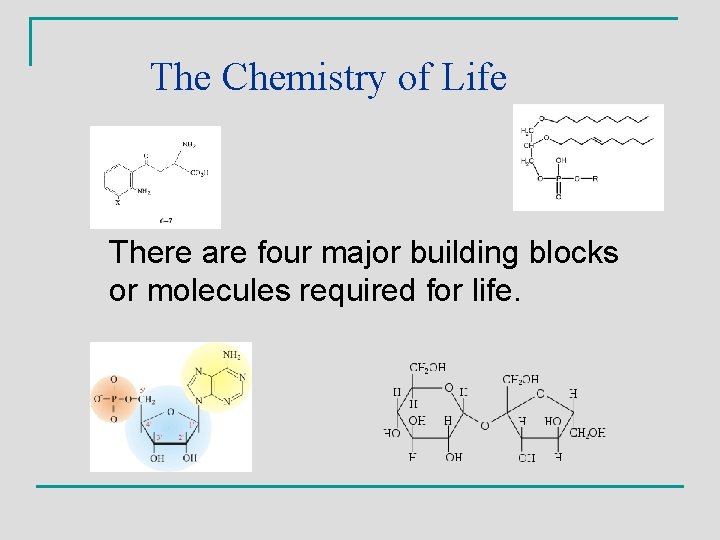 The Chemistry of Life There are four major building blocks or molecules required for