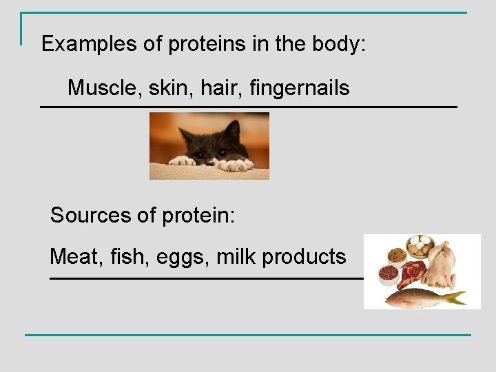 Examples of proteins in the body: Muscle, skin, hair, fingernails _________________ Sources of protein:
